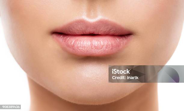 Lips Beauty Closeup Woman Natural Face Make Up Beautiful Full Lip And Pink Lipstick Stock Photo - Download Image Now