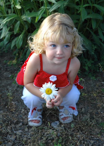 a little sweet girl lying on the grass. little girl and daisies. wild flowers