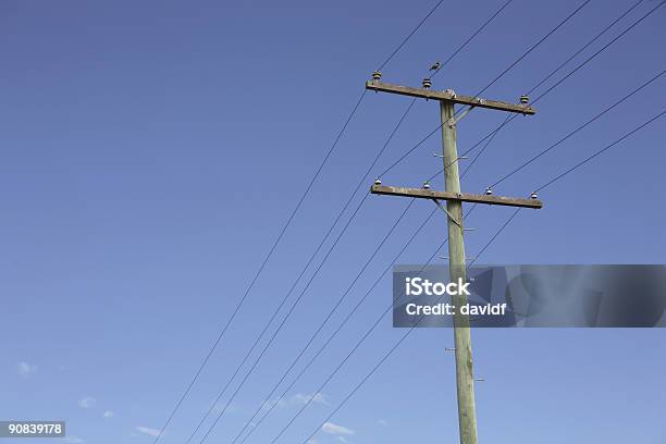 Bird On A Wire Stock Photo - Download Image Now - Bird, Cable, Color Image