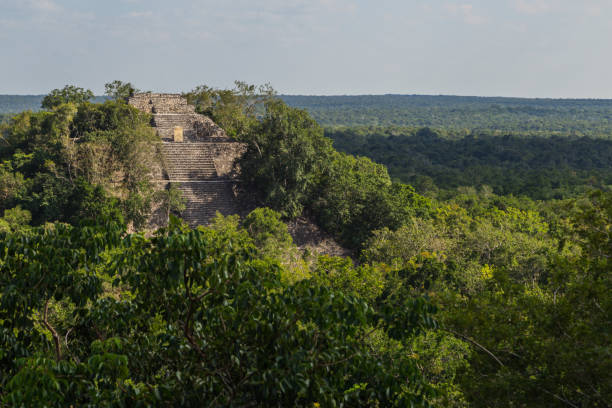 ruines maya de calakmul dans l’état de campeche. la plus haute pyramide sur la péninsule du yucatan. ancienne cité des mayas - campeche photos et images de collection