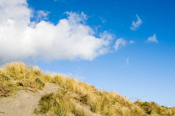 Dunas de areia e céu nublado - fotografia de stock
