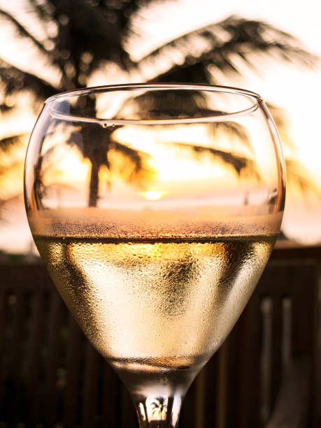 istock Glass of sparkling white wine overlooking the ocean, palm tree silhouette 908398230