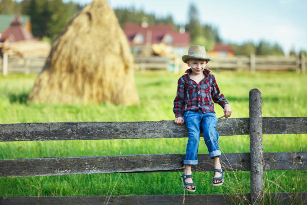 istock Little boy in hat sitting on fence 908398412