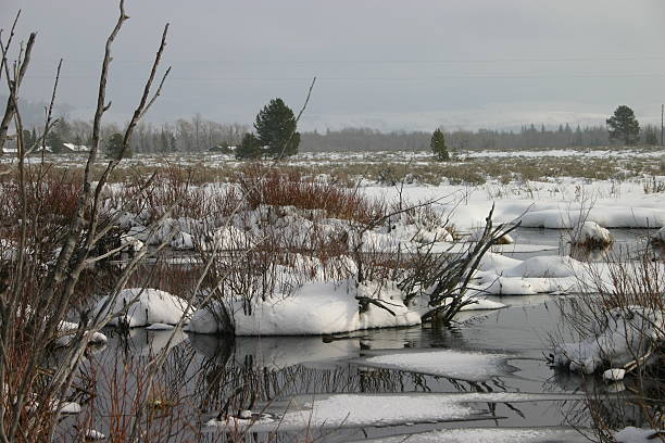 istock Winter at Grand Teton National Park 90839913