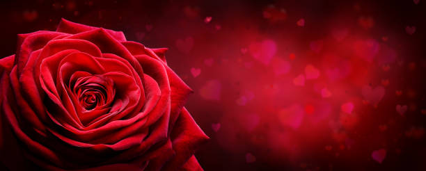 Valentine Card - Red Rose Shape Heart In Romantic Background