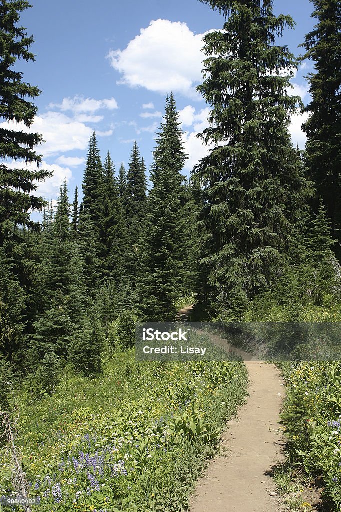 Mountain Trail  British Columbia Stock Photo