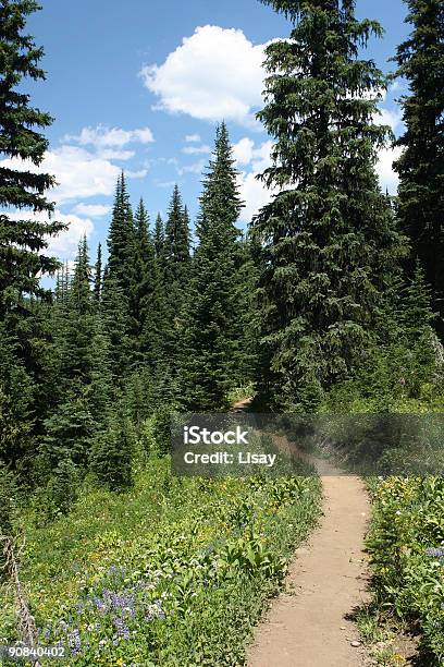 Mountain Trail Stock Photo - Download Image Now - British Columbia, Color Image, Footpath