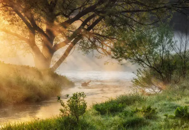 Photo of spring morning. a picturesque foggy dawn. Sun rays