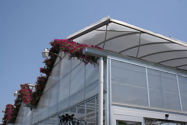 a greenhouse with a roof-line flower border and open roof vent