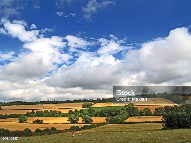 Foto de As Nuvens De Verão e mais fotos de stock de Agricultura - Agricultura, Azul, Campo