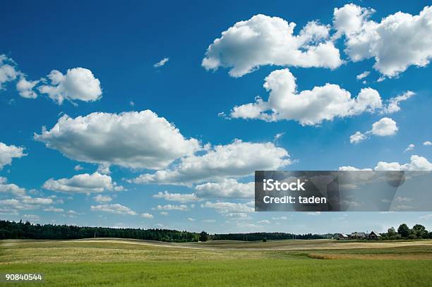 Paesaggio Estivo - Fotografie stock e altre immagini di A mezz'aria - A mezz'aria, Ambientazione esterna, Ambientazione tranquilla