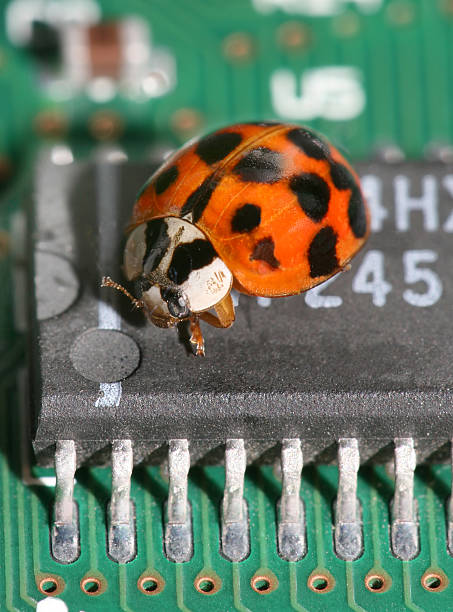 coccinelle sur chip (macro - computer bug computer chip technology insect photos et images de collection