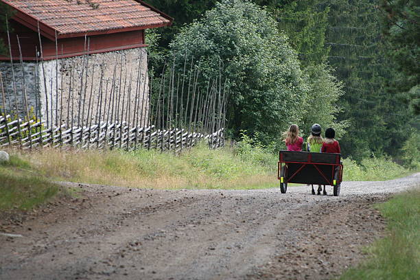 Cheval et calèche équitation - Photo