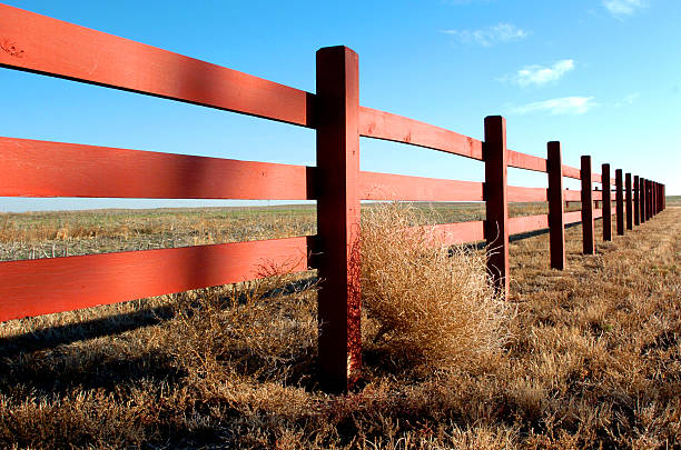 Red Wood Fence stock photo