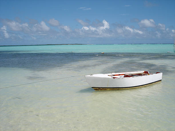 local caribbean fishing boat - fsachs78 stockfoto's en -beelden