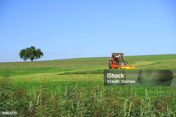 Farmer Bei Der Arbeit Stockfoto und mehr Bilder von Arbeiten - Arbeiten, Baum, Berufliche Beschäftigung