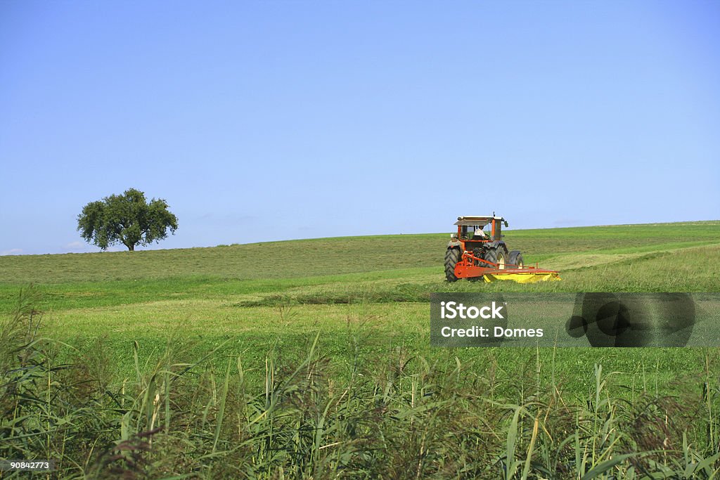 Agricoltore al lavoro - Foto stock royalty-free di Albero