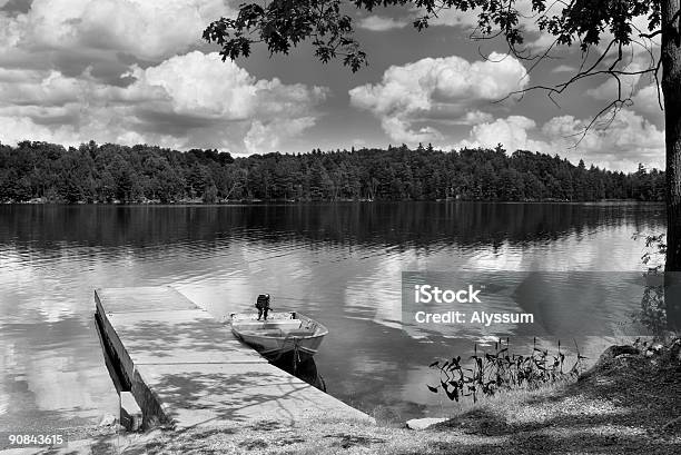 Giù Dal Dock - Fotografie stock e altre immagini di Acqua - Acqua, Albero, Ambientazione esterna