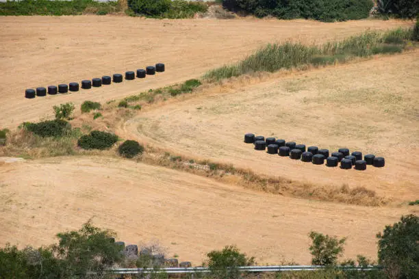 Strawbales in plastic wrap on agricultural field