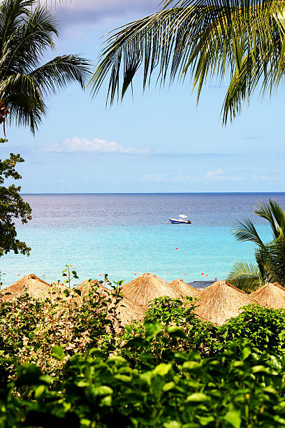 Tropical Paradise stock photo