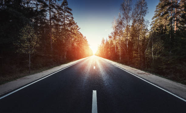 The way forward at sunset The way forward. Empty asphalt road in the forest at sunset road to success stock pictures, royalty-free photos & images