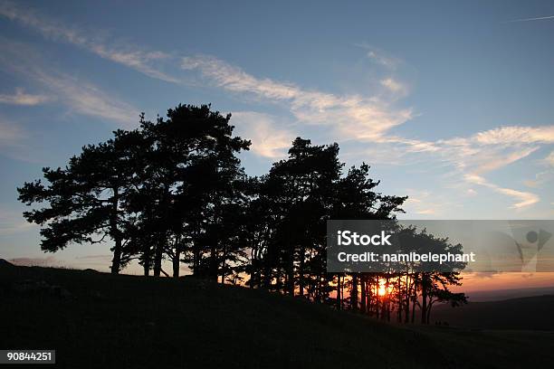 Silhueta De Árvore - Fotografias de stock e mais imagens de Anoitecer - Anoitecer, Ao Ar Livre, Azul