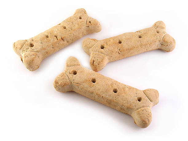 biscotto per cani ossa isolato su sfondo bianco - dog animal bone dog bone dog food foto e immagini stock