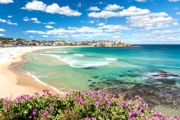 bondi beach - sydney australia photos et images de collection