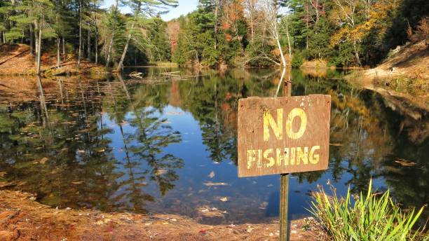 istock No Fising Sign Posted, Adirondack Pond, Tree Reflection, Fall Shadows, 908447812