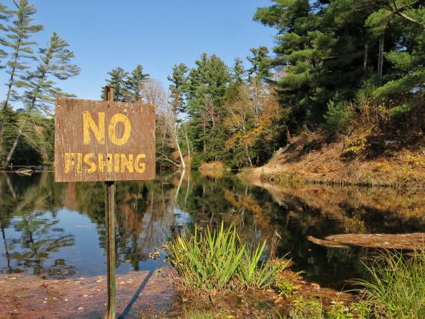 istock No Fising Sign Posted, Adirondack Pond, Tree Reflection, Fall Shadows, 908448196