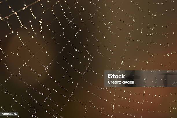 Telaraña 2 Foto de stock y más banco de imágenes de Aire libre - Aire libre, Atrapar, Color - Tipo de imagen