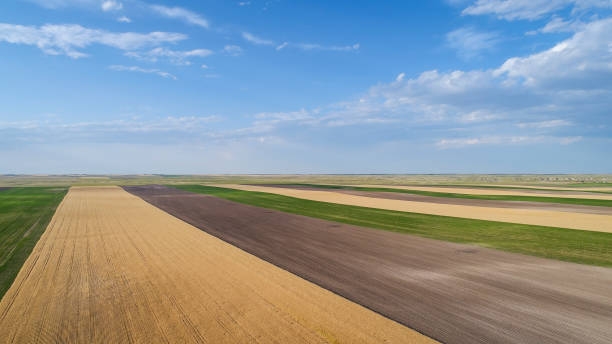 공중 보기에 농촌 네브라스카 풍경 - nebraska midwest usa farm prairie 뉴스 사진 이미지