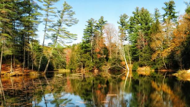 istock Serene Adirondack Pond Water, Tree Reflection, Fall Shadows, New York 908450006