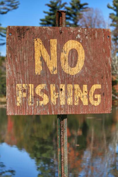 istock No Fising Sign Posted, Adirondack Pond, Tree Reflection, Fall Colors 908450638
