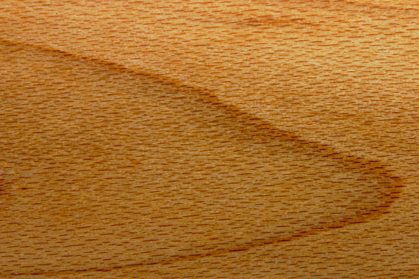 Beech grain - detail  veining stock pictures, royalty-free photos & images