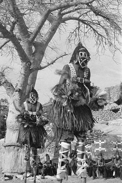 dogon tänzer auf stelzen (b/b - dogon tribe stock-fotos und bilder