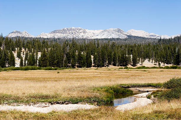 istock Mountain view seen from Tioga pass road, California 90845939