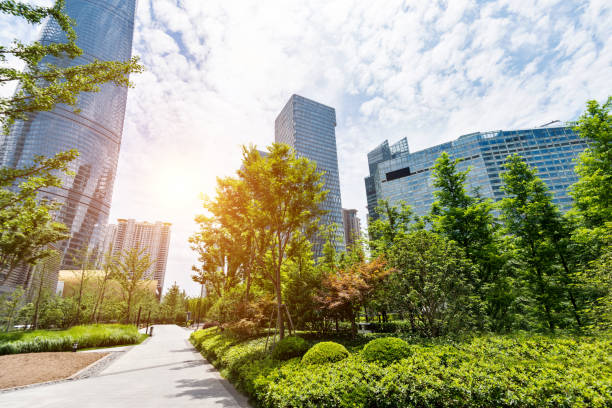 istock Buildings and public park in Shanghai 908459818