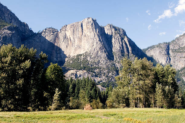 Yosemite Falls From The Valley Floor With Spring Ferns, CA