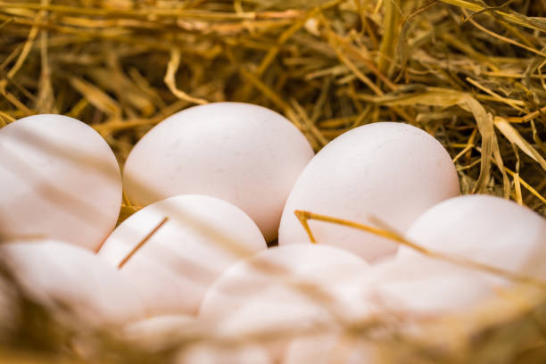 istock Basket of eggs closeup 908462188