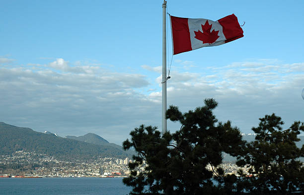 Bandeira Canadense - foto de acervo
