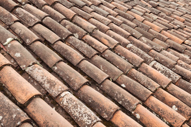 istock Terracotta roof detail 908465206