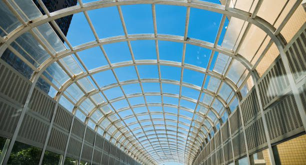 istock Looking up the glass roof 908465484