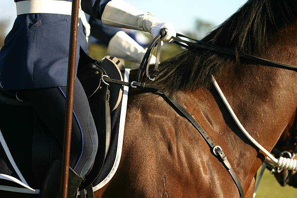 istock detail of horse 90846695