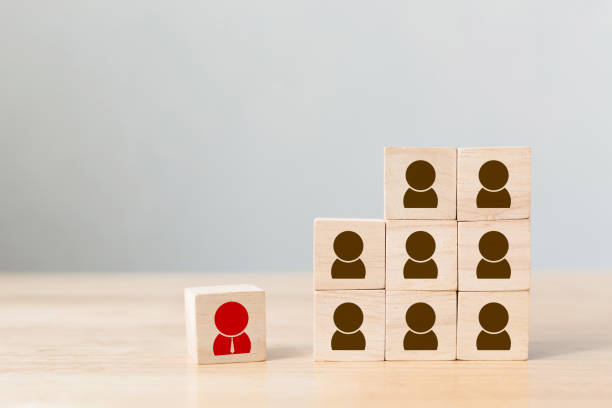 istock Human resource management and recruitment business concept 908468826