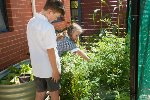 istock School Children Vege Garden 908469432