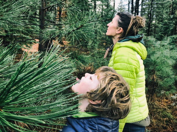 Photo of Mother and son tasting the beauty of the forest