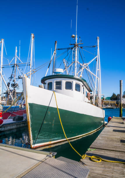 istock Green and White Fishing Boat 908478102