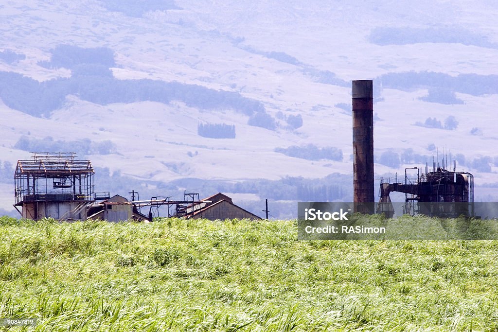 Caña de azúcar campo y Mill cerca de Haleakala AL VOLCÁN - Foto de stock de Caña de azúcar libre de derechos