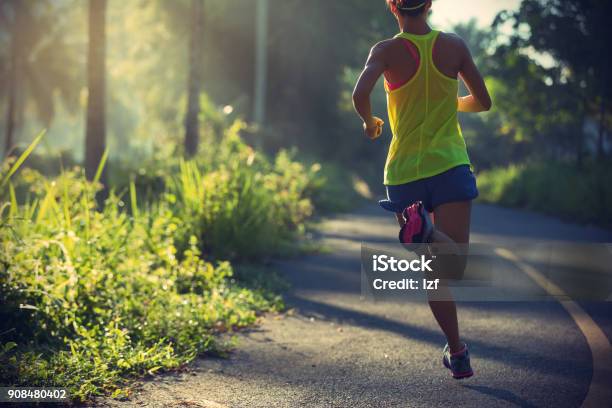 Fitness Mädchen Laufen Auf Morgen Tropische Waldweg Stockfoto und mehr Bilder von Rennen - Körperliche Aktivität